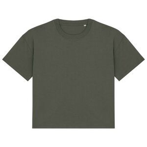 Native Spirit Womens/Ladies Oversized T-Shirt / Natural Khaki